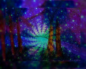 Magical Forest